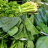 Verduras